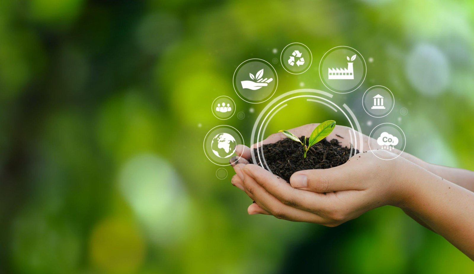 Environmental Management