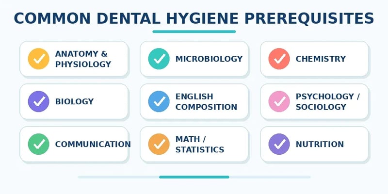 A Common Dental Hygiene Prerequisites graphic checks off nine courses: anatomy and physiology, microbiology, chemistry, biology, English composition, psychology or sociology, communication, math or statistics, and nutrition.